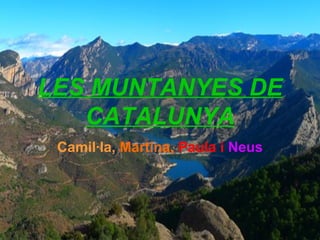 LES MUNTANYES DE
CATALUNYA
Camil·la, Martina, Paula i Neus
 