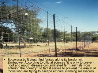 Botswana built electrified fences along its border with Zimbabwe. According to official sources “it is only to prevent hoof and mouth disease contaminated farm animals from entering the country”. In fact it serves to prevent the arrival of those who are trying to escape ethnical clensing massacres.  