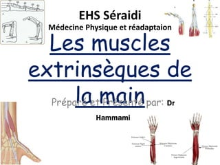 Les muscles
extrinsèques de
la main
Préparé et Présenté par: Dr
Hammami
EHS Séraidi
Médecine Physique et réadaptaion
 