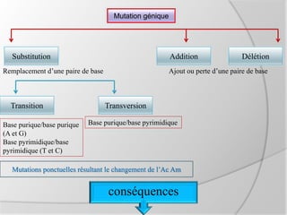 Mutation génique
Substitution Addition Délétion
Remplacement d’une paire de base Ajout ou perte d’une paire de base
Transition Transversion
Base purique/base purique
(A et G)
Base pyrimidique/base
pyrimidique (T et C)
Base purique/base pyrimidique
Mutations ponctuelles résultant le changement de l’Ac Am
conséquences
 