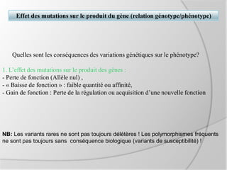 Quelles sont les conséquences des variations génétiques sur le phénotype?
1. L’effet des mutations sur le produit des gènes :
- Perte de fonction (Allèle nul) ,
- « Baisse de fonction » : faible quantité ou affinité,
- Gain de fonction : Perte de la régulation ou acquisition d’une nouvelle fonction
Effet des mutations sur le produit du gène (relation génotype/phénotype)
NB: Les variants rares ne sont pas toujours délétères ! Les polymorphismes fréquents
ne sont pas toujours sans conséquence biologique (variants de susceptibilité) !
 