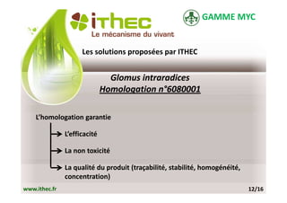 GAMME MYC


                     Les solutions proposées par ITHEC


                                Glomus intraradices
                              Homologation n°6080001

    L’homologation garantie

               L’efficacité

               La non toxicité

               La qualité du produit (traçabilité, stabilité, homogénéité,
               concentration)
www.ithec.fr                                                                 12/16
 