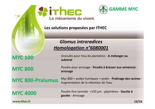 GAMME MYC


               Les solutions proposées par ITHEC


                     Glomus intraradices
                   Homologation n°6080001
                       Granulés pour trou de plantation - A mélanger au
MYC 100                substrat

                       Poudre pour arrosage - Poudre à brasser aux semences -
MYC 800                arrosage

                       Myc 800 + acides humiques + pralin - Pralinage des racines -
MYC 800-Pralumus       Augmentation de la rétention de l’eau

                       Poudre fine tamisée <150 µm - pépinières - Goutte à
MYC 4000               goutte - Arrosage
www.ithec.fr                                                                 13/16
 