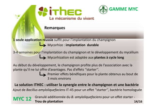 GAMME MYC


                     Remarques

1 seule application réussie suffit pour l’implantation du champignon
                       Mycorhize : implantation durable
3-4 semaines pour l’implantation du champignon et le développement du mycélium
                      Mycorhization est adaptée aux plantes à cycle long

Au début du développement, le champignon profite plus de l’association avec la
plante qu’il ne lui offre d’avantages. Pas d’effets ‘’starter’’.
                          Premier effets bénéfiques pour la plante obtenus au bout de
                          3 mois environs
 La solution ITHEC : utiliser la synergie entre le champignon et une bactérie
Ajout de Bacillus amyloliquefaciens IT-45 pour un effet ‘’starter’’, bactérie homologuée
               Granulé additionnée du B. amyloliquefaciens pour un effet starter -
MYC 12         Trou de plantation                                                14/16
 