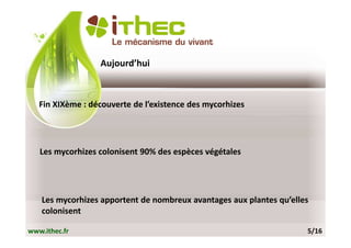 Aujourd’hui



   Fin XIXème : découverte de l’existence des mycorhizes




   Les mycorhizes colonisent 90% des espèces végétales




    Les mycorhizes apportent de nombreux avantages aux plantes qu’elles
    colonisent

www.ithec.fr                                                          5/16
 