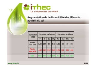 Augmentation de la disponibilité des éléments
               nutritifs du sol




                Ojala et al., Extraction mg/plante   Extraction µg/plante
                   1983
                               P     K    Ca Mg      Na   Zn   Mn     Fe
                 Plante
                sans MYC    0,39 10,9 8,7 0,46 0,25       38    69   171

                 Plante
                            4,42 35,9 25,2 2,49 2,76 112       106 412
                avec MYC

                  Gain      x11,3 x3,3 x2,9 x5,4 x11 x2,9 x1,5 x2,4



www.ithec.fr                                                                8/16
 