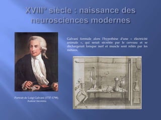 Portrait de Luigi Galvani (1737-1798).
Auteur inconnu.
Galvani formule alors l'hypothèse d'une « électricité
animale », qui serait sécrétée par le cerveau et se
déchargerait lorsque nerf et muscle sont reliés par les
métaux.
 
