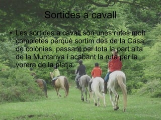Sortides a cavall Les sortides a cavall sòn unes rutes molt completes perquè sortim des de la Casa de colònies, passant per tota la part alta de la Muntanya i acabant la ruta per la vorera de la platja. 
