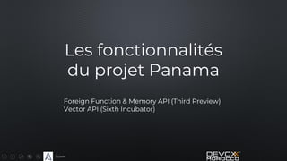 Sciam
Les fonctionnalités
du projet Panama
Foreign Function & Memory API (Third Preview)
Vector API (Sixth Incubator)
 