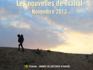 Les nouvelles de Tsahal
Novembre 2013

 