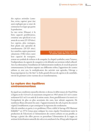 I hommes & migrations n° 1284 61
des espèces animales (came-
lins, ovins, caprins) peut être
aussi expliquée par ce souci de
contourner le risque qui guette
la production.
La race ovine (Dmane), à la
forte capacité prolifératrice,
constitue une spécificité et un
atout de ces oasis (25 329 têtes).
Les caprins, plus rustiques,
font plutôt une spécialité de
transhumants (28 329 têtes).
Les camelins, espèce purement
saharienne (5 062 têtes), outre
leur capacité de transport,
restent un symbole de richesse et de conquête. Le cheptel symbolise, outre l’aisance,
l’indépendance, la capacité de conquérir et de défendre un territoire tribal collectif.
Avec la colonisation, l’installation de l’administration moderne, le recul du pouvoir
communautaire, la fixation imposée aux différentes tribus, l’apparition des centres
urbains et, avec eux, la multiplication des activités non agricoles, l’élevage a
beaucoup régressé.Les Aït Atta(9)
et Aribs,grands éleveurs de caprins et de camélidés,
ont été les premiers à être victimes de ces transformations.
La rupture des équilibres
environnementaux
Eu égard aux conditions naturelles décrites ci-dessus, le débit moyen de Oued Drâa
à Zagora est de 13,4 m3/s, le maximum enregistré en 1965 atteint 213 m3/s contre
seulement 0,13 m3/s en août de la même année. Ainsi, parallèlement à la rareté et à
l’irrégularité de plus en plus accentuées des eaux, leur salinité augmente. De
nombreux fléaux dévastent les oasis : l’appauvrissement des sols, la perte du couvert
végétal, l’ensablement, et par conséquent la régression des rendements.
Afin de remédier, en partie, à ces problèmes, l’État a édifié le barrage d’El Mansour
Eddahbi(10)
en 1972. Conçu pour endiguer les crues, réguler l’écoulement outre la
production de l’électricité et l’alimentation des centres urbains en eau potable, ce
barrage a généré des effets pervers en perturbant l’alimentation de la nappe, en
arrêtant la fertilisation naturelle des sols et en asséchant le lac d’Iriqi,jadis fréquenté
Route entre l’aéroport de Tindouf et le daira
de Laayoune, janvier 2004 © D.R., Each-For
Documenttéléchargédepuiswww.cairn.info-UniversitéMoulayIsmail--196.200.144.2-07/07/201412h43.©Citénat.del'histoiredel'immigration
Documenttéléchargédepuiswww.cairn.info-UniversitéMoulayIsmail--196.200.144.2-07/07/201412h43.©Citénat.del'histoiredel'immigration
 