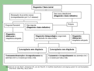 Adaptado de van der Waal I, Schepman KP, van der Meij EH. A modified classification and staging system for oral leukoplakia.
    Oral Oncol. 2000 May, 36(3):264-6
 