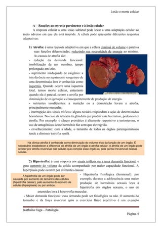 Lesão e morte celular



              A – Reações ao estresse persistente e à lesão celular
              A resposta celular à uma lesão subletal pode levar a uma adaptação celular ao
       meio adverso em que ela está inserida. A célula pode apresentar diferentes respostas
       adaptativas:

            1) Atrofia: é uma resposta adaptativa em que a célula diminui de volume e paralisa
                suas funções diferenciadas, reduzindo sua necessidade de energia ao mínimo.
                As causas de atrofia são:
            - redução da demanda funcional:
            imobilização de um membro, tempo
            prolongado em leito.
            - suprimento inadequado de oxigênio: a
            interferência no suprimento sanguíneo de
            uma determinada área é conhecida como
            isquemia. Quando ocorre uma isquemia
            total, temos morte celular, entretanto
            quando ela é parcial, ocorre a atrofia por
            diminuição de oxigenação e consequentemente de produção de energia.
            - nutrientes insuficientes: a inanição ou a desnutrição levam a atrofia,
            principalmente muscular.
            - interrupção dos sinais tróficos: alguns tecidos respondem a ação de determinados
            hormônios. No caso da retirada da glândula que produz esse hormônio, podemos ter
            atrofia. Por exemplo: o câncer prostático é altamente responsivo a testosterona, o
            uso de antagônicos desse hormônio faz com que ele regrida.
            - envelhecimento: com a idade, o tamanho de todos os órgãos parenquimatosos
            tende a diminuir (atrofia senil).

            Na clínica atrofia é conhecida como diminuição do volume e/ou da função de um órgão. É
   necessário estabelecer a diferença de atrofia de um órgão e atrofia celular. A atrofia de um órgão pode
   ocorrer por atrofia reversível das células que compõe esse órgão ou pela perda irreversível dessas
   células.


               2) Hipertrofia: é uma resposta aos sinais tróficos ou a uma demanda funcional e
         gera aumento do volume da célula acompanhado por maior capacidade funcional. A
         hiperplasia pode ocorrer por diferentes causas:
         A hipertrofia de um órgão pode ser
                                                        - Hipertrofia fisiológica (hormonal): por
causada por aumento do tamanho das células              exemplo, durante a adolescência uma maior
(hipertrofia celular), pelo aumento do número de        produção de hormônios sexuais leva à
células (hiperplasia) ou por ambos.
                                                        hipertrofia dos órgãos sexuais, o uso de
                       esteroides leva à hipertrofia muscular.
          - Maior demanda funcional: essa demanda pode ser fisiológica ou não. O aumento do
         tamanho e da força muscular após o exercício físico repetitivo é um exemplo


       Nathalia Fuga – Patologia
                                                                                             Página 4
 