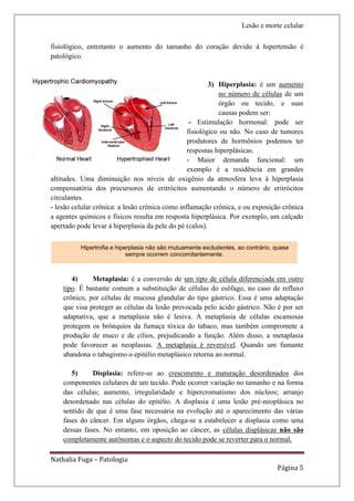 Lesão e morte celular

fisiológico, entretanto o aumento do tamanho do coração devido à hipertensão é
patológico.


                                                         3) Hiperplasia: é um aumento
                                                            no número de células de um
                                                            órgão ou tecido, e suas
                                                            causas podem ser:
                                                  - Estimulação hormonal: pode ser
                                                 fisiológico ou não. No caso de tumores
                                                 produtores de hormônios podemos ter
                                                 respostas hiperplásicas.
                                                 - Maior demanda funcional: um
                                                 exemplo é a residência em grandes
altitudes. Uma diminuição nos níveis de oxigênio da atmosfera leva à hiperplasia
compensatória dos precursores de eritrócitos aumentando o número de eritrócitos
circulantes.
- lesão celular crônica: a lesão crônica como inflamação crônica, e ou exposição crônica
a agentes químicos e físicos resulta em resposta hiperplásica. Por exemplo, um calçado
apertado pode levar à hiperplasia da pele do pé (calos).


          Hipertrofia e hiperplasia não são mutuamente excludentes, ao contrário, quase
                            sempre ocorrem concomitantemente.



       4)     Metaplasia: é a conversão de um tipo de célula diferenciada em outro
    tipo. É bastante comum a substituição de células do esôfago, no caso de refluxo
    crônico, por células de mucosa glandular do tipo gástrico. Essa é uma adaptação
    que visa proteger as células da lesão provocada pelo ácido gástrico. Não é por ser
    adaptativa, que a metaplasia não é lesiva. A metaplasia de células escamosas
    protegem os brônquios da fumaça tóxica do tabaco, mas também compromete a
    produção de muco e de cílios, prejudicando a função. Além disso, a metaplasia
    pode favorecer as neoplasias. A metaplasia é reversível. Quando um fumante
    abandona o tabagismo o epitélio metaplásico retorna ao normal.

       5)     Displasia: refere-se ao crescimento e maturação desordenados dos
    componentes celulares de um tecido. Pode ocorrer variação no tamanho e na forma
    das células; aumento, irregularidade e hipercromatismo dos núcleos; arranjo
    desordenado nas células do epitélio. A displasia é uma lesão pré-neoplásica no
    sentido de que é uma fase necessária na evolução até o aparecimento das várias
    fases do câncer. Em alguns órgãos, chega-se a estabelecer a displasia como uma
    dessas fases. No entanto, em oposição ao câncer, as células displásicas não são
    completamente autônomas e o aspecto do tecido pode se reverter para o normal.

Nathalia Fuga – Patologia
                                                                                  Página 5
 