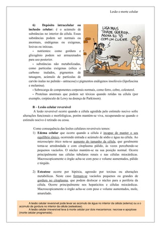 Lesão e morte celular



          6)      Depósito intracelular ou
       inclusão celular: é o acúmulo de
       substâncias no interior da célula. Essas
       substâncias podem ser normais ou
       anormais, endógenas ou exógenas,
       lesivas ou inócuas.
          - nutrientes: como gordura e
       glicogênio podem ser armazenados
       para uso posterior.
          - substâncias não metabolizadas,
       como partículas exógenas (sílica e
       carbono inalados, pigmentos de
       tatuagem, acúmulo de partículas de
       carvão inalas no pulmão - antracose) e pigmentos endógenos insolúveis (lipofuscina
       e melanina).
          - Sobrecarga de componentes corporais normais, como ferro, cobre, colesterol.
          - Proteínas anormais que podem ser tóxicas quando retidas na célula (por
       exemplo, corpúsculo de Lewy na doença de Parkinson).

           B – Lesão celular reversível
           A lesão reversível ocorre quando a célula agredida pelo estímulo nocivo sofre
   alterações funcionais e morfológicas, porém mantém-se viva, recuperando-se quando o
   estímulo nocivo é retirado ou cessa.

            Como consequência das lesões celulares reversíveis temos:
           1) Edema celular que ocorre quando a célula é incapaz de manter o seu
              equilíbrio iônico, ocorrendo entrada e acúmulo de sódio e água na célula. Ao
              microscópio ótico nota-se aumento do tamanho da célula, que geralmente
              torna-se arredondada e com citoplasma pálido, às vezes percebendo-se
              pequenos vacúolos. O núcleo mantém-se na sua posição normal. Ocorre
              principalmente nas células tubulares renais e nas células miocárdicas.
              Macroscopicamente o órgão acha-se com peso e volume aumentados, pálido
              e túrgido.

           2) Esteatose ocorre por hipóxia, agressão por toxinas ou alterações
              metabólicas. Neste caso formam-se vacúolos pequenos ou grandes de
              gordura no citoplasma, que podem deslocar o núcleo para a periferia da
              célula. Ocorre principalmente nos hepatócitos e células miocárdicas.
              Macroscopicamente o órgão acha-se com peso e volume aumentados, mole,
              amarelado.


        A lesão celular reversível pode levar ao acúmulo de água no interior da célula (edema) ou a o
acúmulo de gordura no interior da célula (esteatose).
   Nathalia Fuga – Patologia leva à morte celular por dois mecanismos: necrose e apoptose
        A lesão celular irreversível
(morte celular programada).                                                               Página 6
 