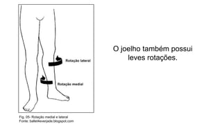 O joelho também possui
leves rotações.

Fig. 05- Rotação medial e lateral
Fonte: ballet4everjade.blogspot.com

 