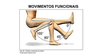 MOVIMENTOS FUNCIONAIS

Fig. 04- Flexão e extensão do joelho
Fonte:www.indicure.com

 