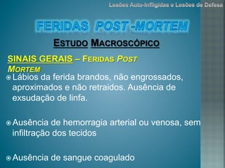 ž Lábios da ferida brandos, não engrossados,
aproximados e não retraidos. Ausência de
exsudação de linfa.
ž Ausência de hemorragia arterial ou venosa, sem
infiltração dos tecidos
ž Ausência de sangue coagulado
ESTUDO MACROSCÓPICO
SINAIS GERAIS – FERIDAS POST
MORTEM
 