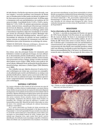 Lesões orofaríngeas e neurológicas em ovinos associadas ao uso de pistolas dosificadoras                             283



do lado direito e bochecha cuja mucosa estava ulcerada, com                 que morreram naturalmente ou que foram eutanasiados in extremis
um coágulo e secreção purulenta com formação de fístula                     (devido ao prognóstico desfavorável) foram submetidos à necropsia,
que se estendia pelos tecidos moles em direção ao globo ocu-                sendo coletados fragmentos de vários órgãos, os quais foram fixados
lar. Dois surtos ocorreram no Estado de Goiás, 16-20 dias após              em formol tamponado a 10%, processados rotineiramente para
                                                                            histopatologia e corados por HE. Amostras de fígado e de soro fo-
o tratamento oral com anti-helmínticos em cordeiros de 5-9
                                                                            ram coletadas de três animais para dosagem de cobre. Foram
meses de idade. A morbidade foi de 11,43% e 15,62% e morta-                 realizados hemogramas em dois ovinos da Propriedade A e em um
lidade de 7,14% e 9,38%. Os animais apresentaram, principal-                da Propriedade B.
mente, sinais nervosos, causados por abscessos que variavam
de 0,5-3cm de diâmetro, contendo exsudato purulento ama-                                                RESULTADOS
                                                                                                        RESULT
relado no seu interior, localizados na orofaringe, palato mole
e musculatura esquelética adjacente estendendo-se às menin-                         observados
                                                                            Surtos obser vados no Rio Grande do Sul
ges através da articulação atlanto-occipital. Meningite não-                   No Surto 1, ocorrido no município de Piratiní, em agosto
purulenta foi observada histologicamente. Alerta-se para a                  de 1979, foram afetados 5 (6,25%) ovinos de um rebanho de
necessidade de utilização de pistolas em boas condições e                   80, de 2 anos de idade. No Surto 2, no município de Herval,
prestar atenção no momento do tratamento oral com anti-                     em 1986 foram afetados 30 (15%) ovelhas adultas, de um re-
helmínticos para evitar ferimentos na orofaringe de ovinos.                 banho de 200. Nestes dois surtos os sinais clínicos, observa-
                                                                            dos 15-20 dias após o tratamento oral com anti-helmínticos,
TERMOS DE INDEXAÇÃO: Abscessos orofaríngeos, alterações neu-                caracterizaram-se por emagrecimento progressivo e morte,
rológicas, tratamento oral com anti-helmínticos, ovinos.                    com presença de uma fístula com conteúdo purulento mistu-
                                                                            rado com alimento, localizada na pele lateralmente à mandí-
                         INTRODUÇÃO                                         bula ou intermandibular (Fig.1). No Surto 2, as 30 mortes ocor-
Em ovinos, uma das principais formas de tratamento anti-                    reram de maio a dezembro. Na necropsia de dois ovinos, foi
helmíntico consiste na aplicação de drogas, via oral, utilizan-
do as denominadas pistolas dosificadoras. Quando essa téc-
nica não é realizada com os devidos cuidados, lesões traumá-
ticas penetrantes na boca, faringe, laringe e tecidos circunvizi-
nhos podem ocorrer (López 1998). Nesses casos pode-se ob-
servar edema, inflamação local, perfuração da parede póstero-
dorsal da faringe, abscessos e celulite (López 1998, Radostits
et al. 2002).
    Este trabalho tem por objetivo descrever 6 surtos de le-
sões orofaríngeas em ovinos que ocorreram em conseqüên-
cia da administração oral de anti-helmínticos ou melaço com
pistolas dosificadoras. Quatro surtos ocorreram no Rio Gran-
de do Sul e dois no sudoeste de Goiás. Estes últimos apresen-
taram comprometimento neurológico secundário às altera-
ções orofaríngeas.

                   MATERIAL E MÉTODOS
                   MATERIAL
                                                                             Fig.1. Fístula na região mandibular (seta) que comunica com a cavi-
Os 4 surtos relatados no Rio Grande do Sul ocorreram nos anos de
                                                                                 dade oral, em ovino do Surto 2.
1978-2006 e os dados relativos à epidemiologia e aos sinais clínicos
foram obtidos nos protocolos de necropsias do Laboratório Regional
de Diagnóstico da Faculdade de Veterinária da Universidade Federal
de Pelotas. Algumas informações de alguns desses surtos não estavam
disponíveis nos protocolos. Dois ovinos do Surto 2 e um de cada um
dos surtos restantes foram enviados mortos ao laboratório e
necropsiados. Fragmentos dos diversos órgãos foram fixados em
formalina 10%, cortados com 5µm de espessura e corados com
hematoxilina-eosina (HE). Material das lesões observadas no ovino
do Surto 3 foi coletado para realização de culturas bacterianas
aeróbicas e anaeróbicas.
    Os 2 surtos observados no Estado de Goiás ocorreram em
rebanhos de criação extensiva (Propriedade A e B). Quatro ovinos da
Propriedade A e três da Propriedade B foram enviados vivos (dois da
A e um da B) e mortos (dois da A e dois da B) para exame clínico e/ou
necropsia na Universidade Federal de Goiás, Campus Jataí. Nos
animais que chegaram vivos, após exame físico geral e prévia
identificação, foi realizado exame neurológico específico. O histórico
clínico foi obtido com os proprietários e/ou tratadores. Os animais         Fig.2. Edema submandibular em ovino do Surto 3.

                                                                                                             Pesq. Vet. Bras. 27(7):282-286, julho 2007
 