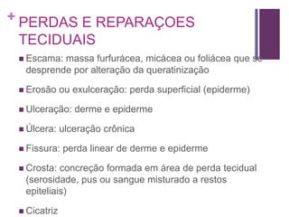 + PERDAS E REPARAÇOES
TECIDUAIS
 Escama: massa furfurácea, micácea ou foliácea que se
desprende por alteração da queratinização
 Erosão ou exulceração: perda superficial (epiderme)
 Ulceração: derme e epiderme
 Úlcera: ulceração crônica
 Fissura: perda linear de derme e epiderme
 Crosta: concreção formada em área de perda tecidual
(serosidade, pus ou sangue misturado a restos
epiteliais)
 Cicatriz
 