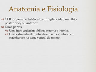 Anatomia e Fisiologia
 CLB: origem no tubérculo supraglenoidal, ou lábio
posterior e/ou anterior.
 Duas partes:
 Uma intra-articular: oblíqua externa e inferior.
 Uma extra-articular: situada em um estreito sulco
osteofibroso na parte ventral do úmero.
 