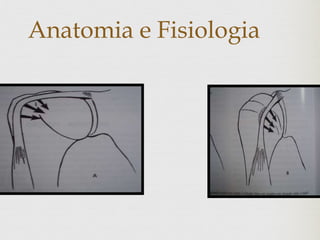 Anatomia e Fisiologia
 