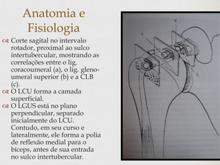 Anatomia e
Fisiologia
 Corte sagital no intervalo
rotador, proximal ao sulco
intertubercular, mostrando as
correlações entre o lig.
coracoumeral (a), o lig. gleno-
umeral superior (b) e a CLB
(c).
 O LCU forma a camada
superficial.
 O LGUS está no plano
perpendicular, separado
inicialmente do LCU.
Contudo, em seu curso e
lateralmente, ele forma a polia
de reflexão medial para o
bíceps, antes de sua entrada
no sulco intertubercular.
 