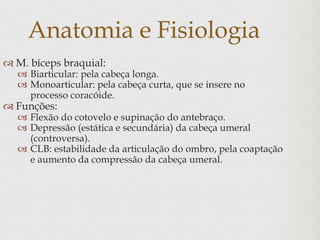 Anatomia e Fisiologia
 M. bíceps braquial:
 Biarticular: pela cabeça longa.
 Monoarticular: pela cabeça curta, que se insere no
processo coracóide.
 Funções:
 Flexão do cotovelo e supinação do antebraço.
 Depressão (estática e secundária) da cabeça umeral
(controversa).
 CLB: estabilidade da articulação do ombro, pela coaptação
e aumento da compressão da cabeça umeral.
 