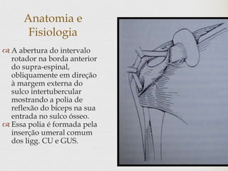 Anatomia e
Fisiologia
 A abertura do intervalo
rotador na borda anterior
do supra-espinal,
obliquamente em direção
à margem externa do
sulco intertubercular
mostrando a polia de
reflexão do bíceps na sua
entrada no sulco ósseo.
 Essa polia é formada pela
inserção umeral comum
dos ligg. CU e GUS.
 
