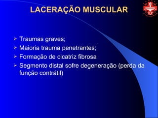 LACERAÇÃO MUSCULAR


   Traumas graves;
   Maioria trauma penetrantes;
   Formação de cicatriz fibrosa
   Segmento distal sofre degeneração (perda da
    função contrátil)
 