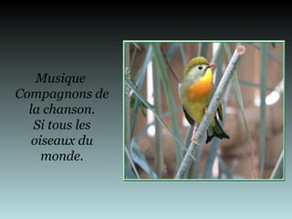 Musique
Compagnons de
la chanson.
Si tous les
oiseaux du
monde.
 