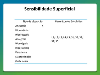Sensibilidade Superficial
Tipo de alteração Dermátomos Envolvidos
Anestesia X
L1; L2; L3; L4; L5; S1; S2; S3;
S4; S5
Hipoestesia
Hiperestesia
Analgesia
Hipoalgesia
Hiperalgesia
Parestesia
Estereognosia
Grafestesia
 