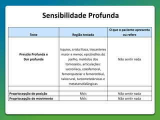 Sensibilidade Profunda
Teste Região testada
O que o paciente apresenta
ou refere
Pressão Profunda e
Dor profunda
Isquios, crista ilíaca, trocanteres
maior e menor, epicôndilos do
joelho, maléolos dos
tornozelos, articulações:
sacroilíaca, coxofemoral,
femoropatelar e femorotibial,
talocrural, tarsometatársicas e
metatarsofalângicas
Não sentir nada
Propriocepção de posição MsIs Não sentir nada
Propriocepção de movimento MsIs Não sentir nada
 