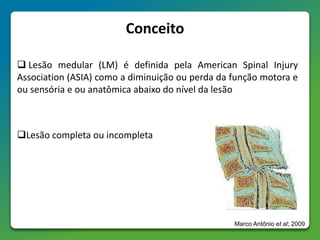 Conceito
 Lesão medular (LM) é definida pela American Spinal Injury
Association (ASIA) como a diminuição ou perda da função motora e
ou sensória e ou anatômica abaixo do nível da lesão
Lesão completa ou incompleta
Marco Antônio et al; 2009
 