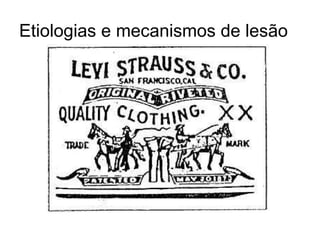 Etiologias e mecanismos de lesão 