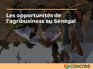Les opportunités de
l'agribusiness au Sénégal
 