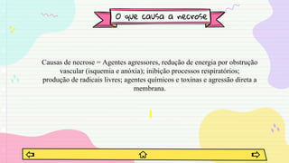 O que causa a necrose
Causas de necrose = Agentes agressores, redução de energia por obstrução
vascular (isquemia e anóxia); inibição processos respiratórios;
produção de radicais livres; agentes químicos e toxinas e agressão direta a
membrana.
 