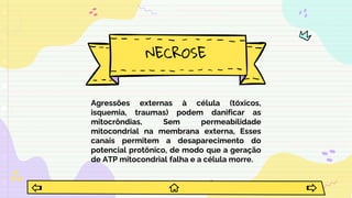 NECROSE
Agressões externas à célula (tóxicos,
isquemia, traumas) podem danificar as
mitocrôndias, Sem permeabilidade
mitocondrial na membrana externa, Esses
canais permitem a desaparecimento do
potencial protônico, de modo que a geração
de ATP mitocondrial falha e a célula morre.
 