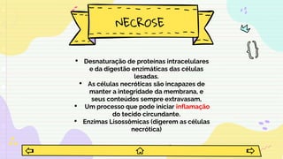 NECROSE
• Desnaturação de proteínas intracelulares
e da digestão enzimáticas das células
lesadas.
• As células necróticas são incapazes de
manter a integridade da membrana, e
seus conteúdos sempre extravasam,
• Um processo que pode iniciar inflamação
do tecido circundante.
• Enzimas Lisossômicas (digerem as células
necrótica)
 