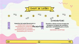 Graus de Lesões
Aspectos da Lesão Reversível é a
TUMEFAÇÃO CELULAR,
DEGENERAÇÃO GORDUROSA,
DEGENERAÇÃO HIALINA,
DEGENERAÇÃO GLICOGÊNICA E
DEGENERAÇÃO CÁLCICA
Quando a célula se torna incapaz de
recuperar-se depois de cessada a
agressão, caminhando para a morte
celular.
NECROSE E APOPTOSE
Reversível
Irreversível
 