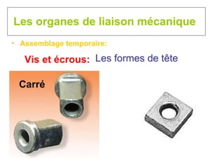 Les organes de liaison mécanique Assemblage temporaire:  Vis et écrous: Les formes de tête Carré 