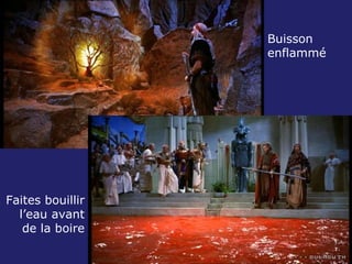Buisson enflammé Faites bouillir l’eau avant de la boire 