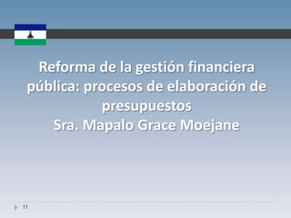 Ocupa una superficie que se compara con el tamaño de Bélgica.