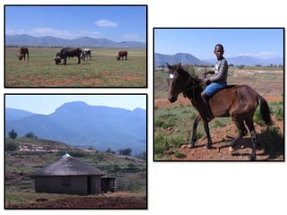 African Library Project in Lesotho