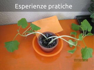 Esperienze pratiche
 