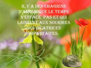 Il y a des chagrins
 d’amour que le temps
  n’efface pas et qui
laissent aux sourires
     des cicatrices
      imparfaites.
 