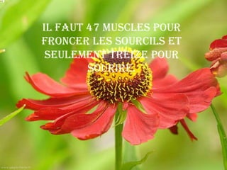Il faut 47 muscles pour
froncer les sourcils et
 seulement treize pour
        sourire.
 