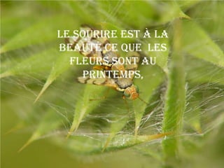 Le sourire est à la
beauté ce que les
  fleurs sont au
    printemps,
 