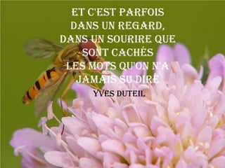 Et c'est parfois
  dans un regard,
dans un sourire que
    sont cachés
 les mots qu'on n'a
   jamais su dire
     Yves Duteil
 