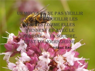 Un moyen de ne pas vieillir
  : c'est d'accueillir les
    années comme elles
    viennent et avec le
   sourire... un sourire,
   c'est toujours jeune.
      -        Pierre Dac
 